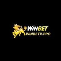 winbetxpro