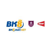 bk8haynet