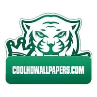 coolhdwallpaperscom