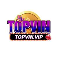 topwinvip