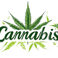 Cannabisgreenbuds