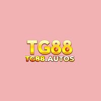 tg88autos