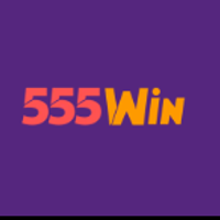 vn555win
