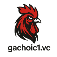 gachoic1vc