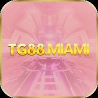 tg88miami 0