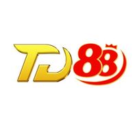 td88blog1