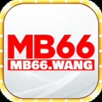 mb66wang