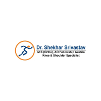 Delhiarthroscopy