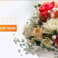 shophoatuoiquangninhv