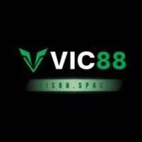 vic88space