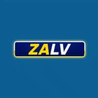 Zalvcity