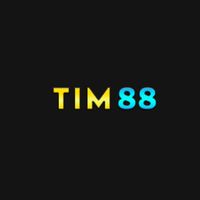 tim88art