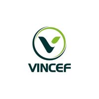 vincef