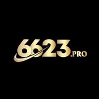 pro6623