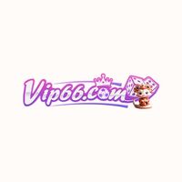 vip66broker