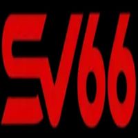 sv66teamcncom