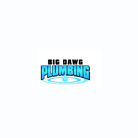bigdawgplumbing