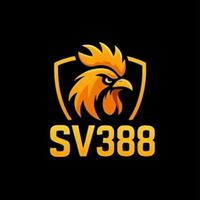 dagasv388biz1