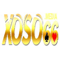 xoso66mediafmdv