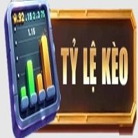 tyle2025