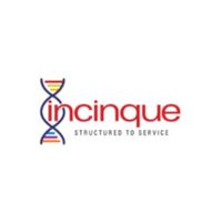 incinquebusiness
