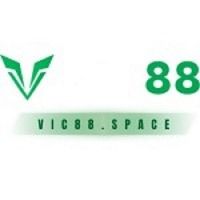 vic88space 0
