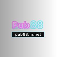 pub88innet1