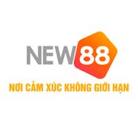 new88848com