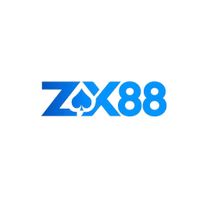zx88vnnet1