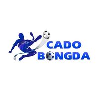 cadobongda2