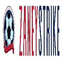 zaneystrikeii