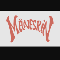 maneskinmerchshop