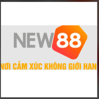 new8838net1