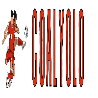 goalyolo