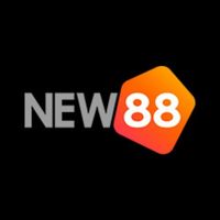 vnew88info