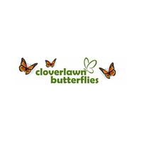 cloverlawnbutterflies