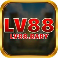 lv88baby