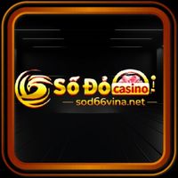 sodo66vinanet
