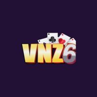 vnz6store