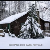 SleepingDogCabinRentals