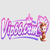 Vip66nycom1vn