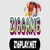 z16playnet