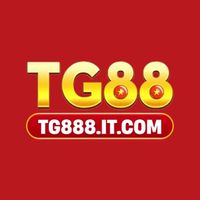 tg888itcom