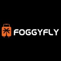 foggyfly