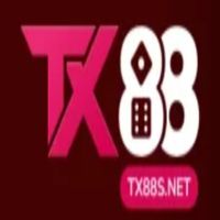 tx88snett