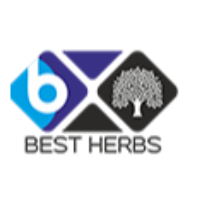 Best Herbs