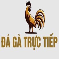 dagatructiephomnaycom