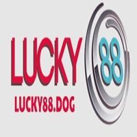 lucky88dog