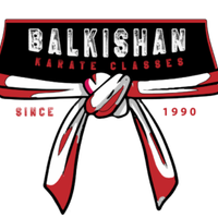 balkishankarateclasses