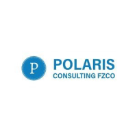 polarisconsulting